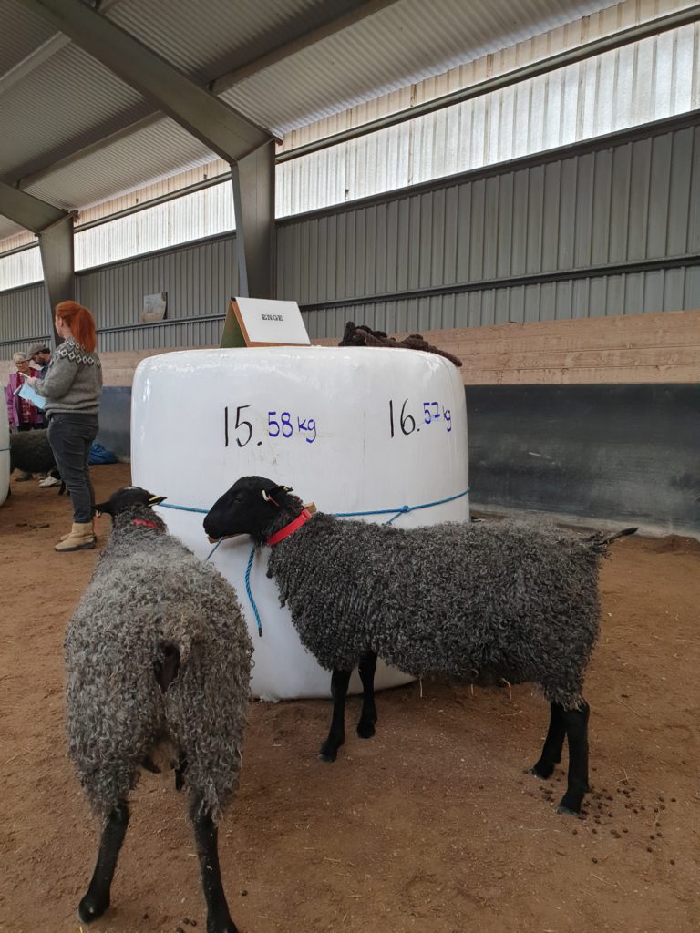 20190928_114401_resized